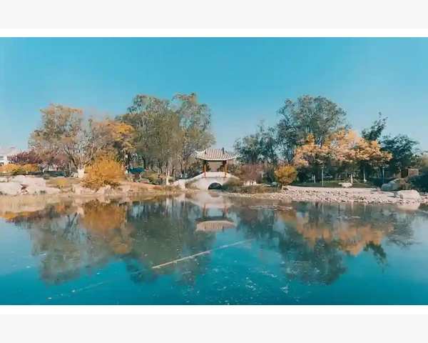 祛湿驱寒，吃什么食物好消化？