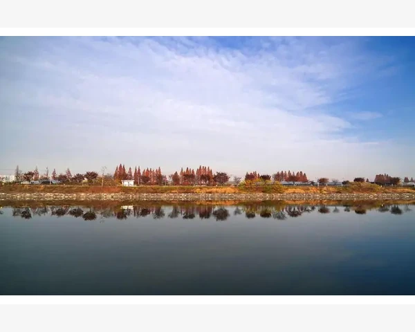 为什么胃疼要针灸一下